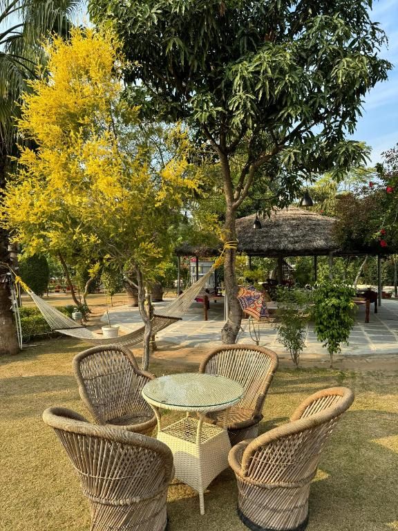 Food & Dining
