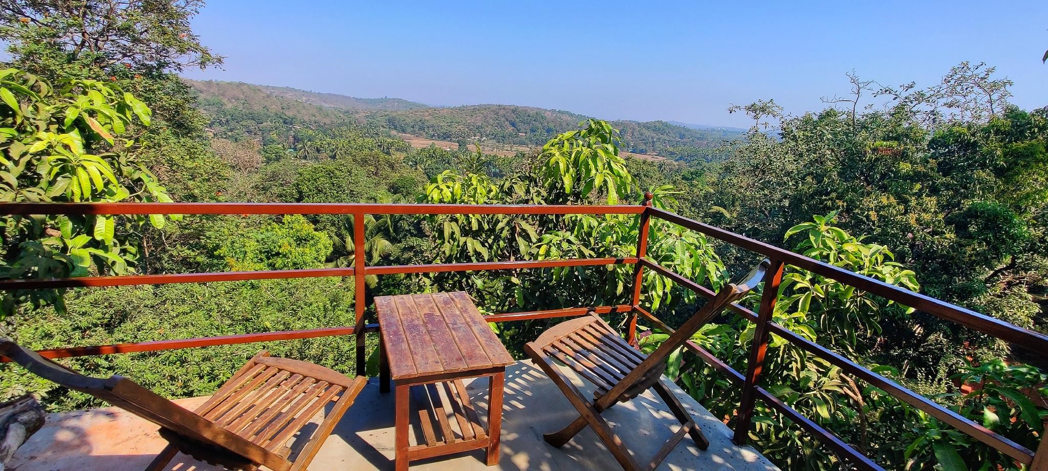 Tree House with Terrace