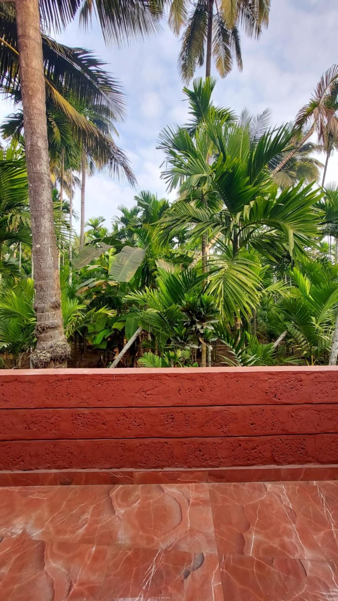 balcony/terrace