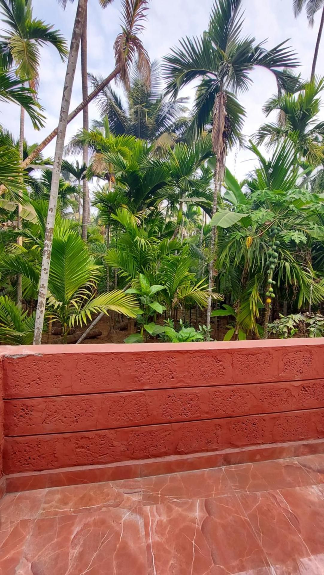 balcony/terrace