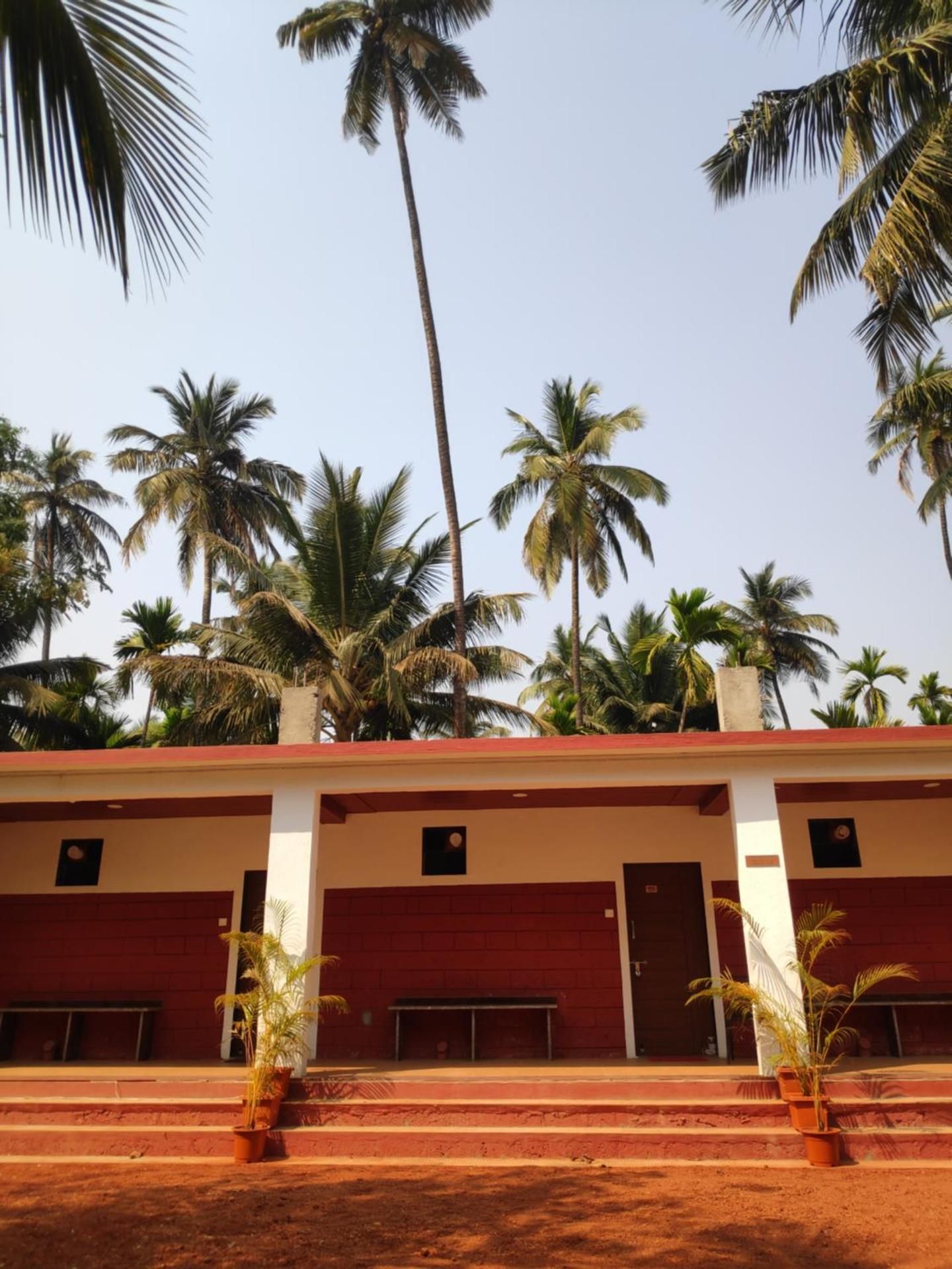 exterior view