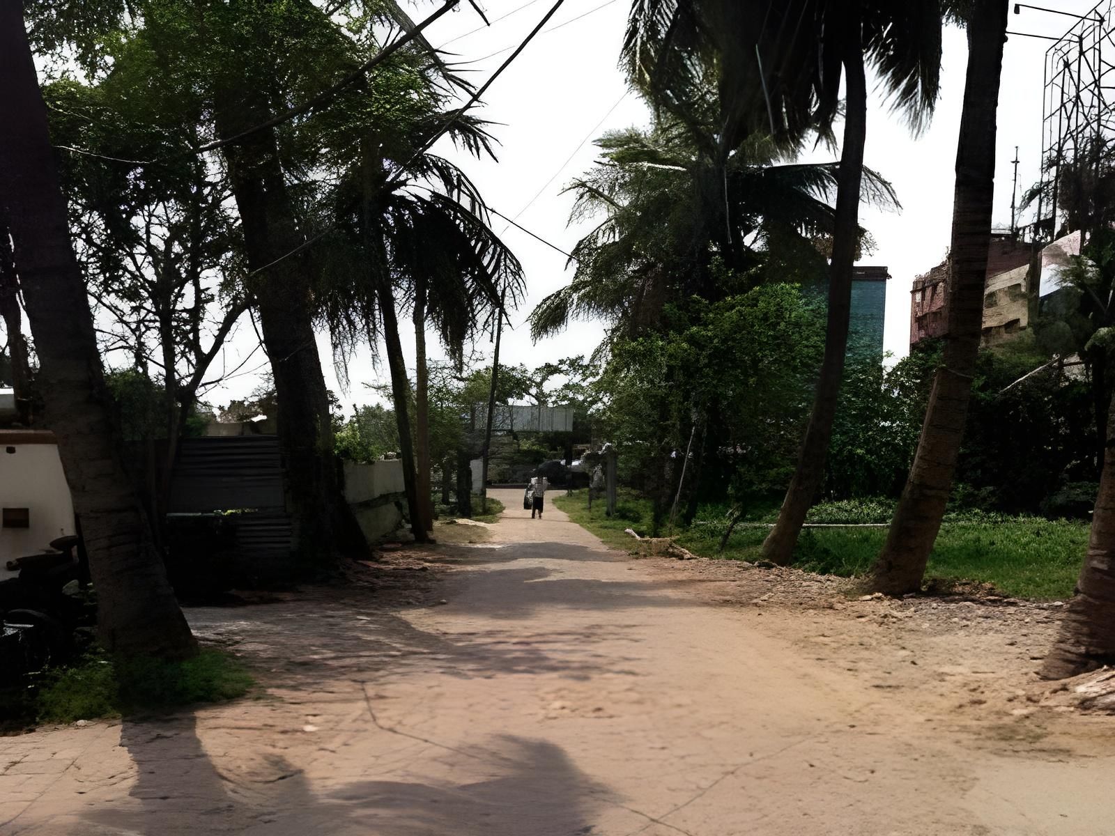 surrounding environment