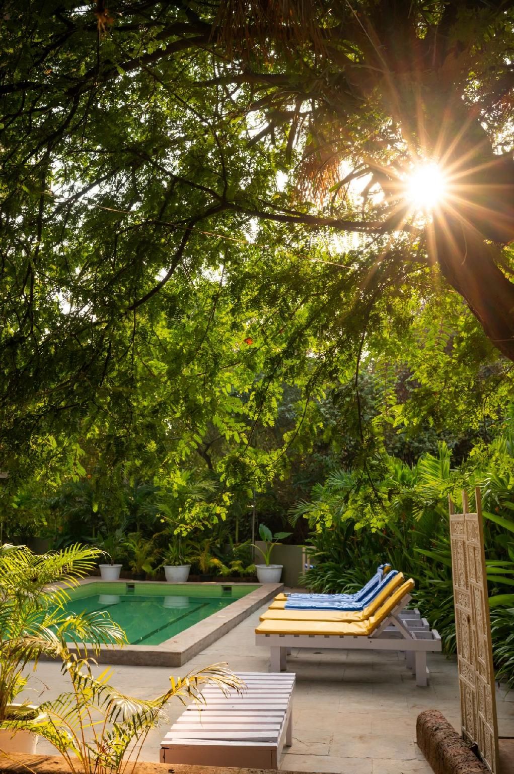 swimming pool [outdoor]