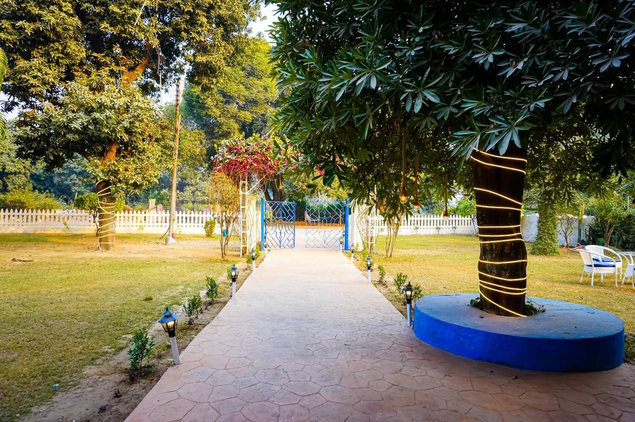 garden
