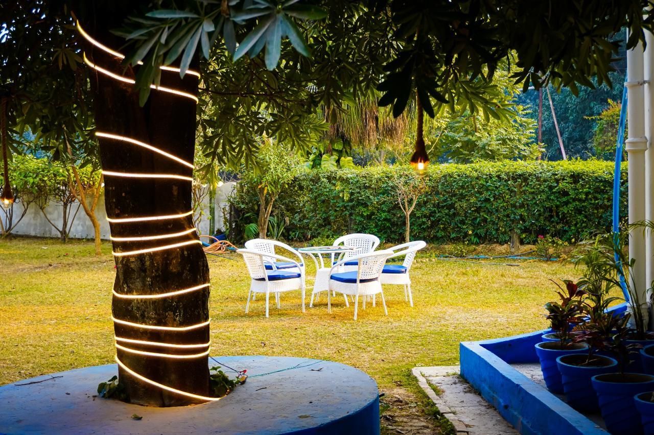 garden