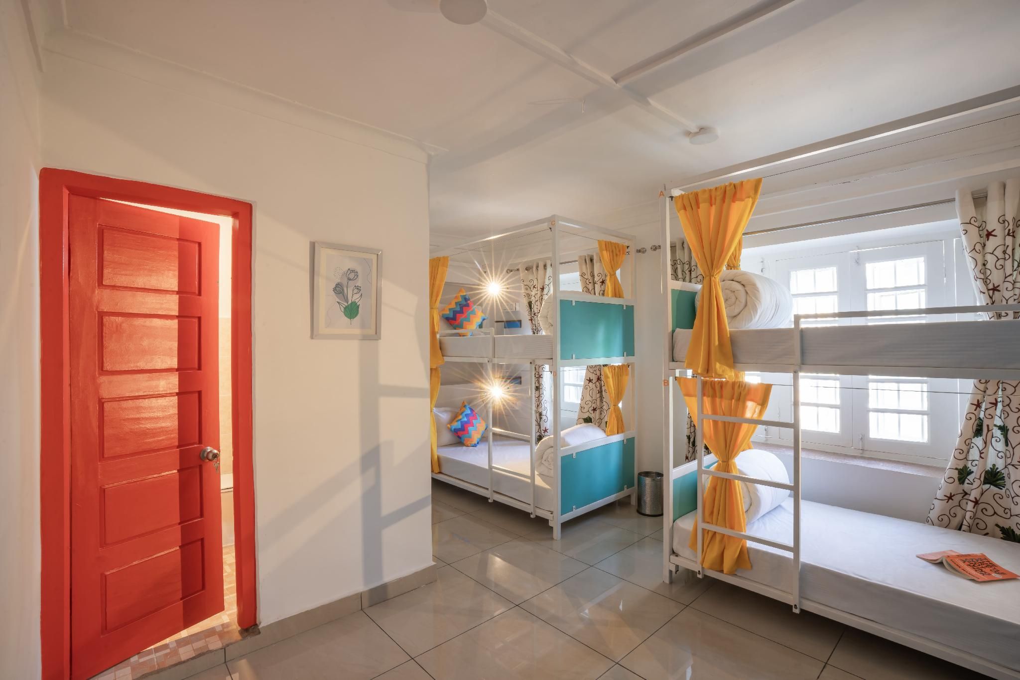 Bed in 4 Bed Mixed Dormitory Room with Ensuite Bathroom