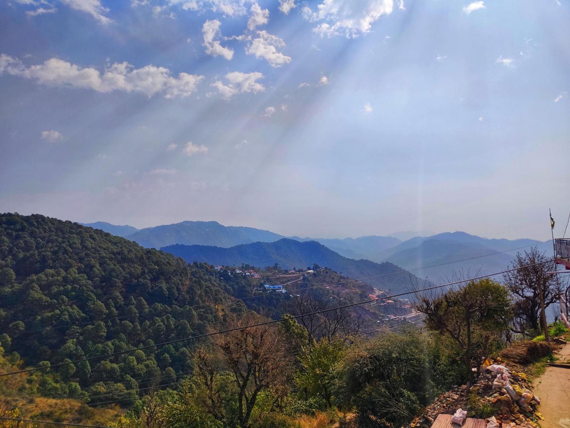 view