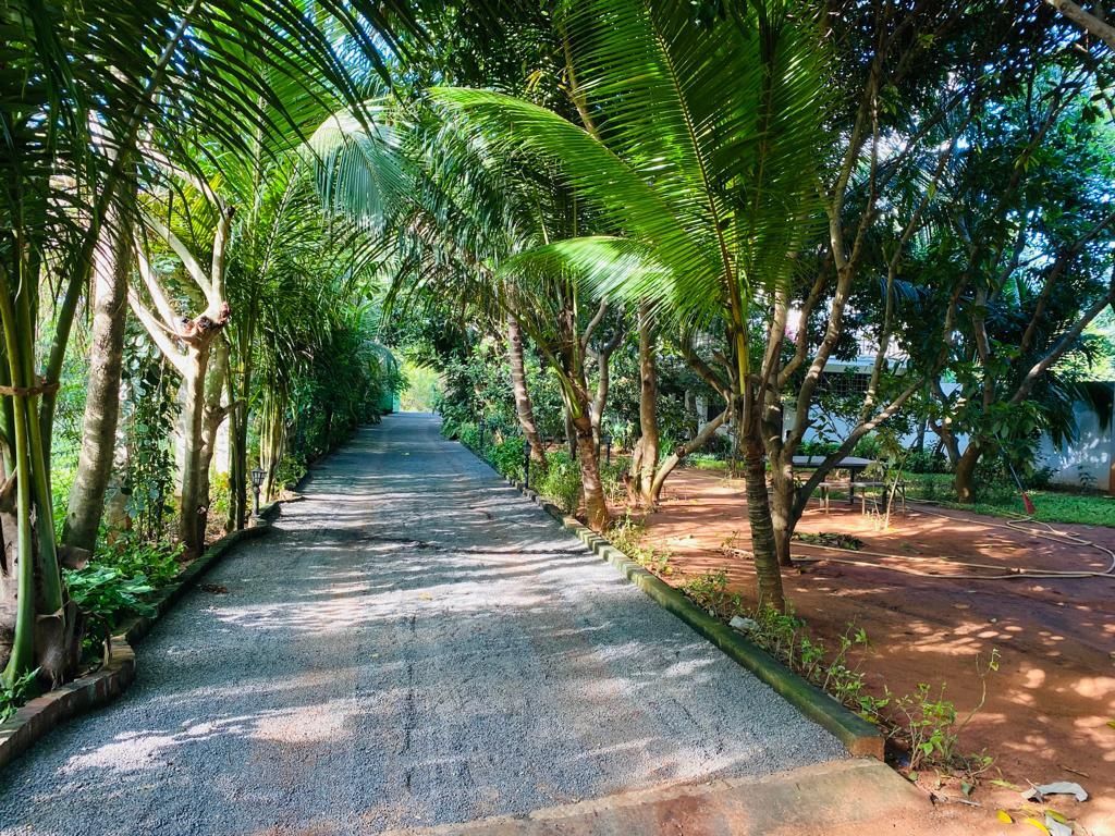 surrounding environment