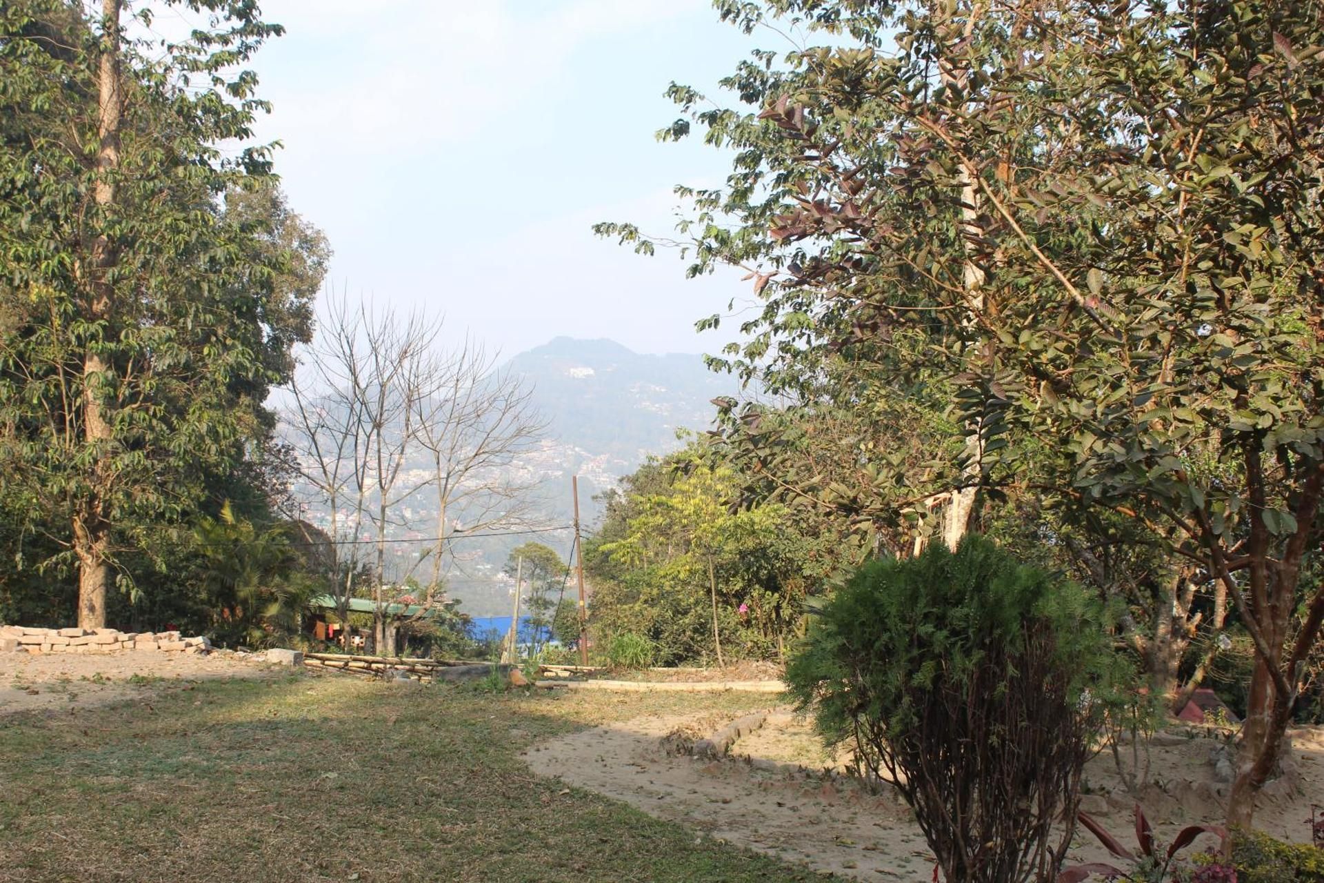 view
