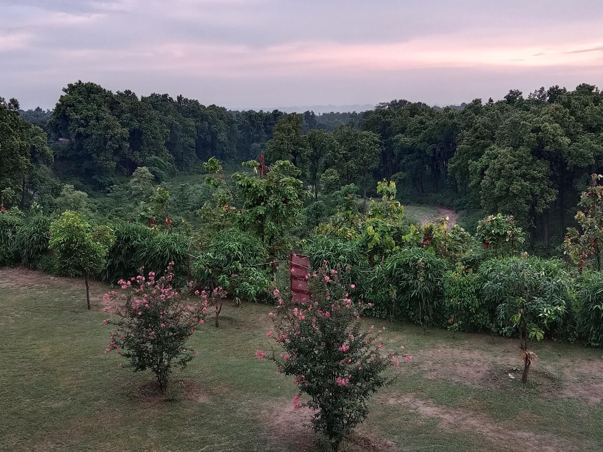 Surrounding environment