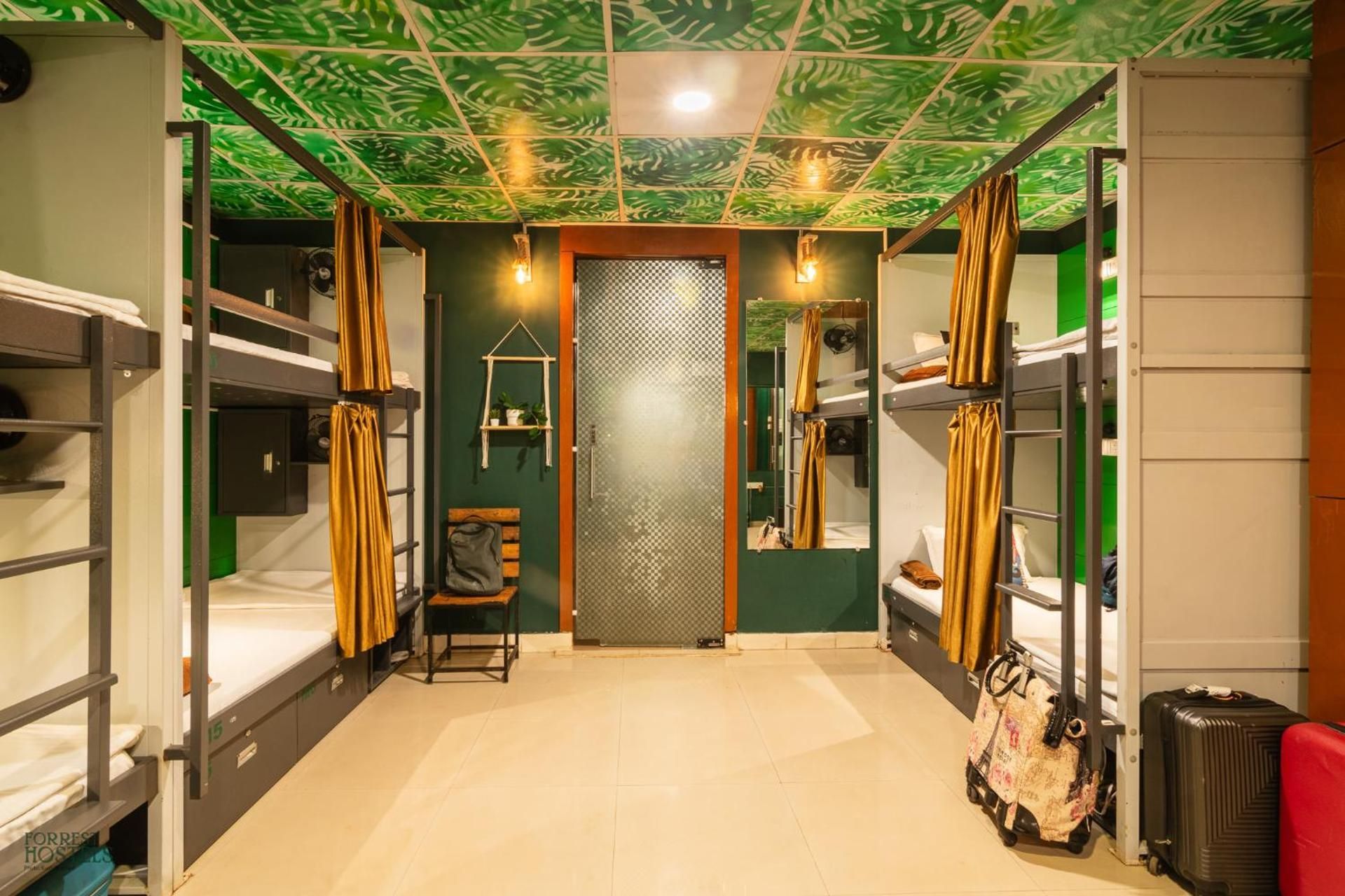 Forrest Hostels