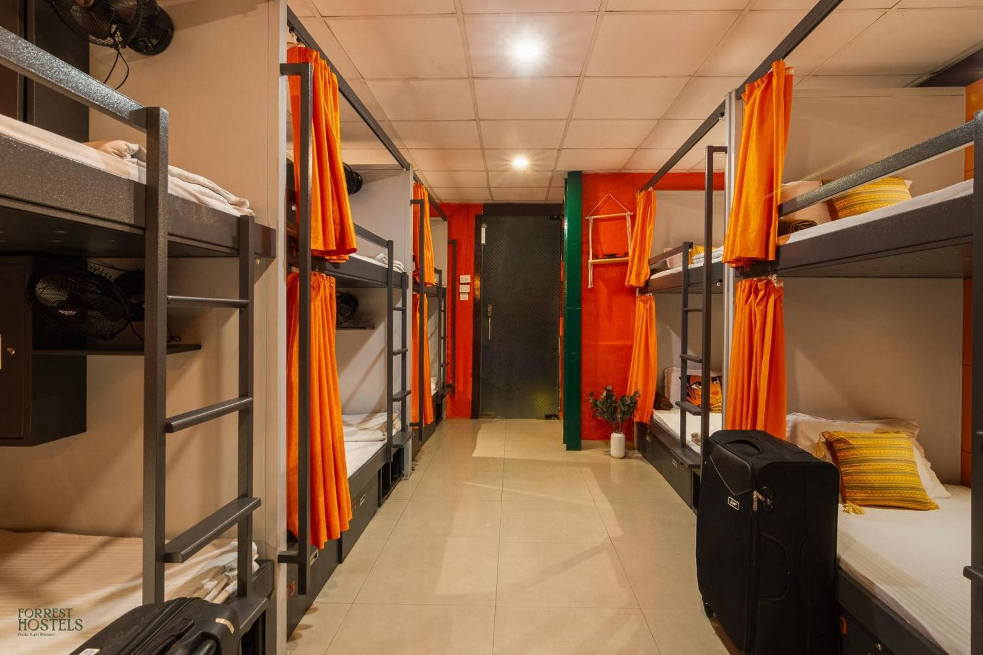 Forrest Hostels Mixed Dorm 2