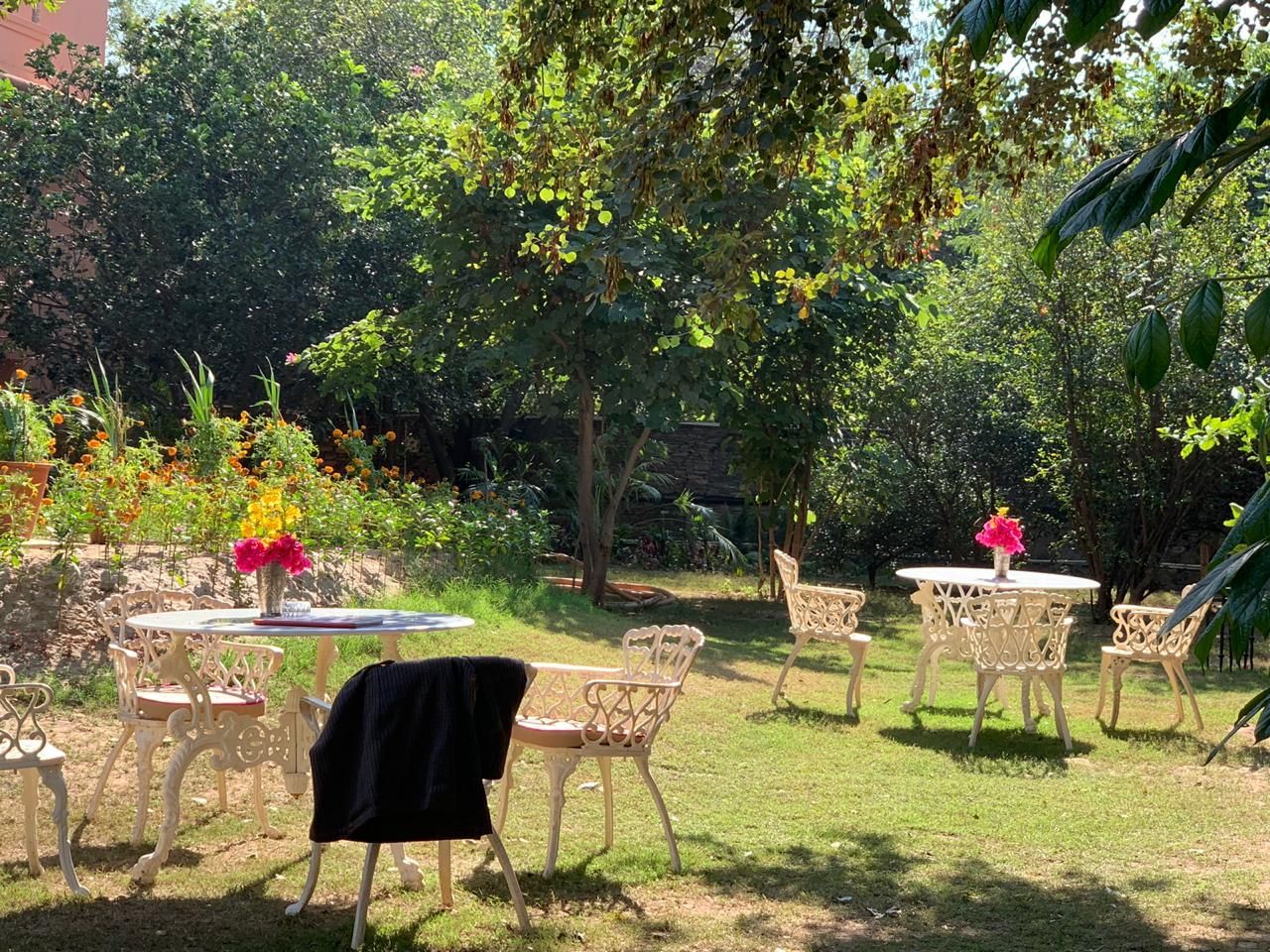 garden
