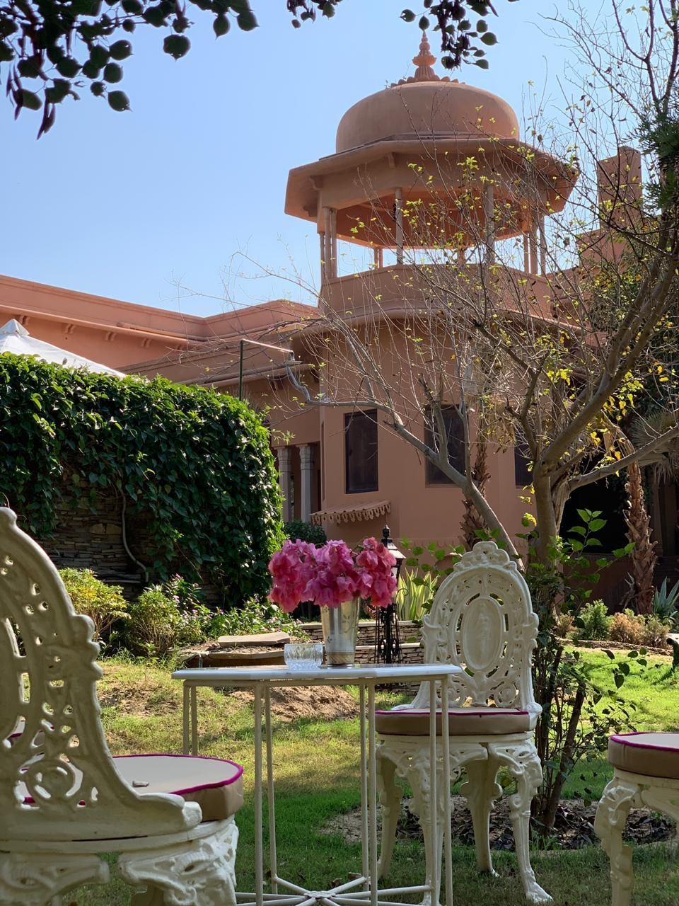 garden