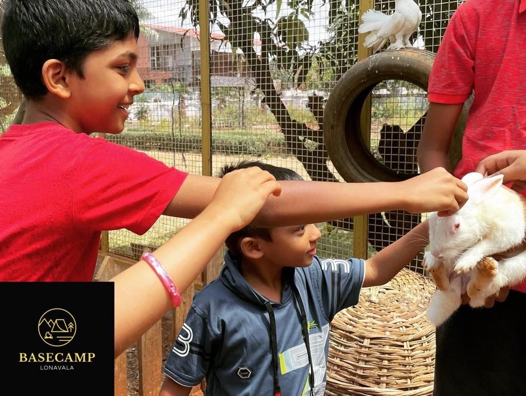 sports and activities