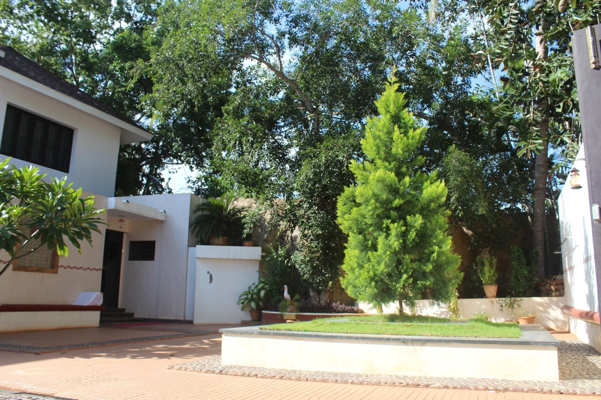 Surrounding environment