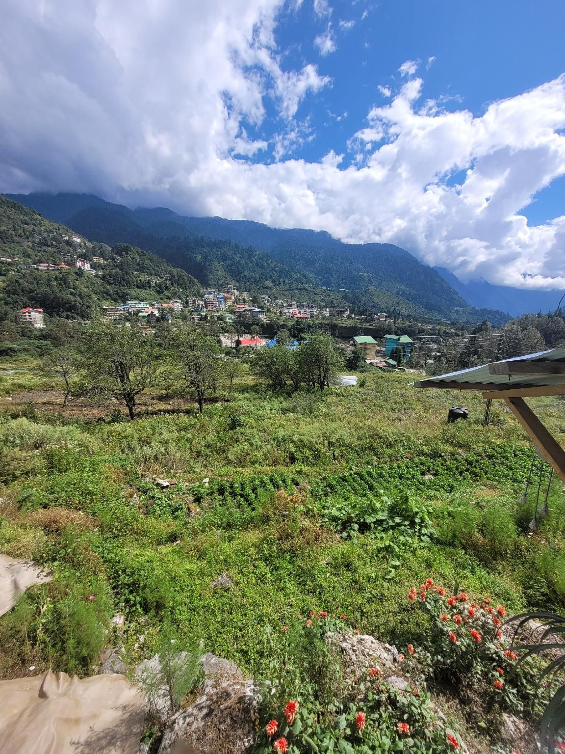 view