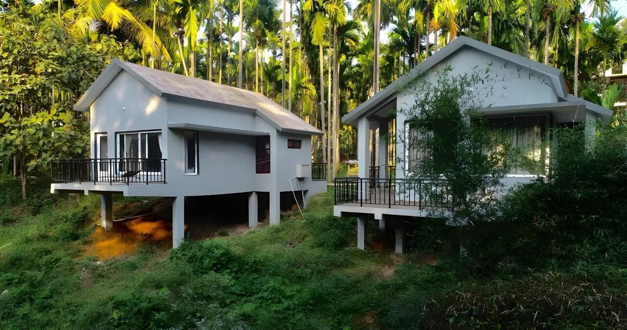 Dandeli Whistle