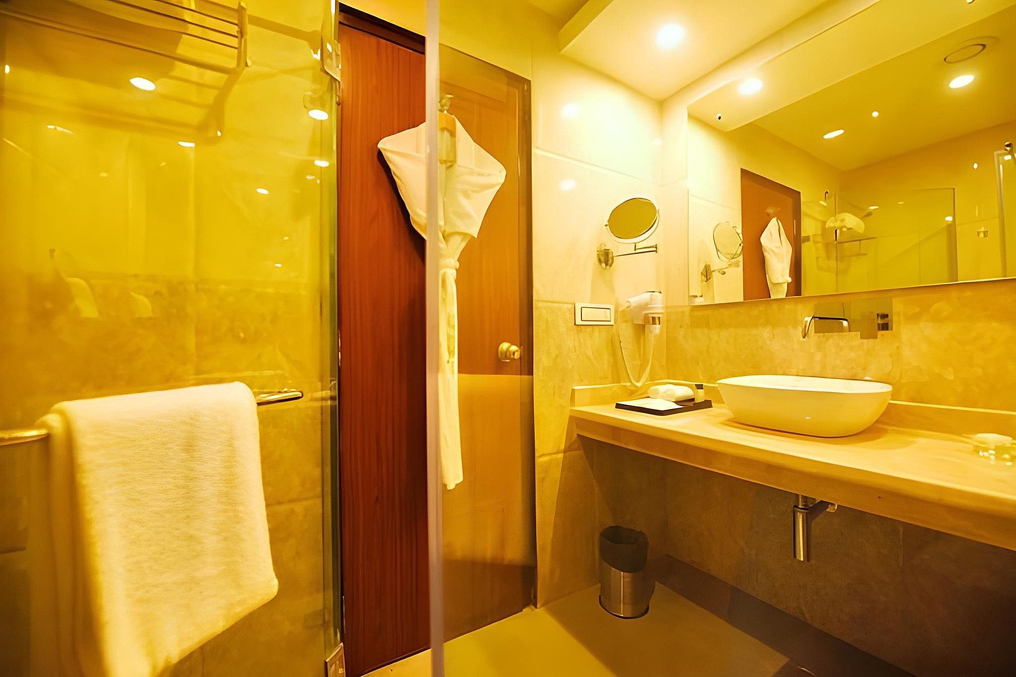 Regenta Central Srinagar Deluxe Double 2