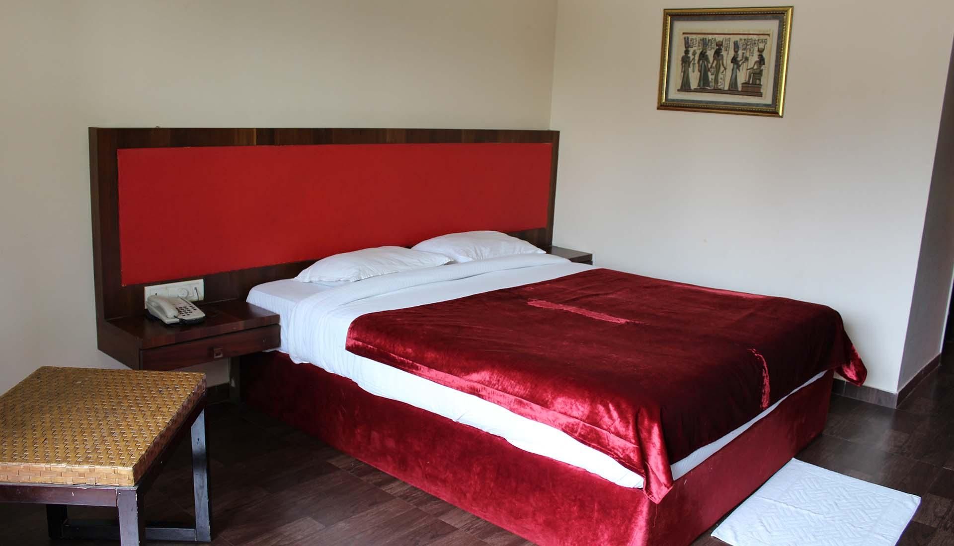 Deluxe Room with Air Conditioning