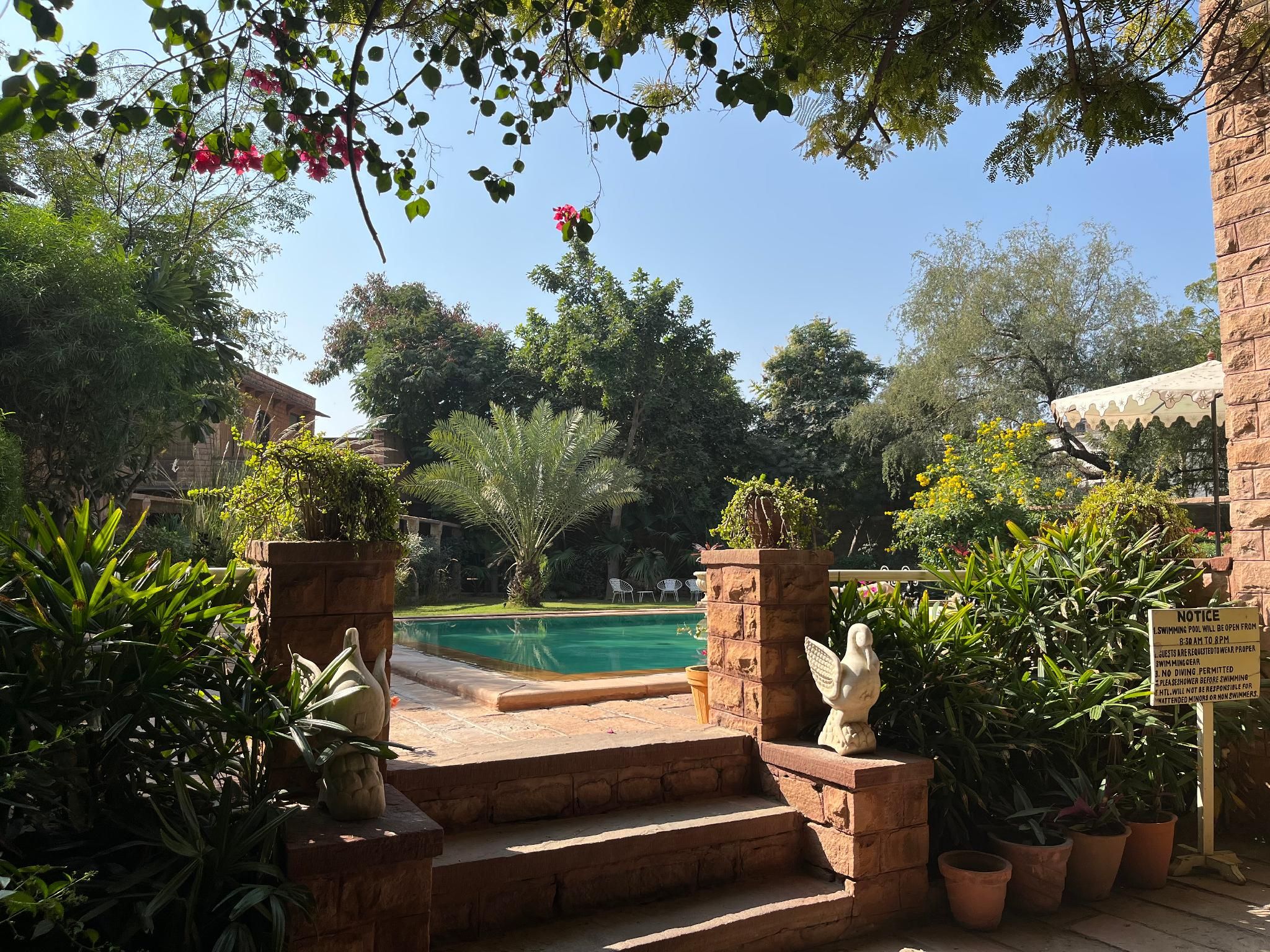 Swimming pool
