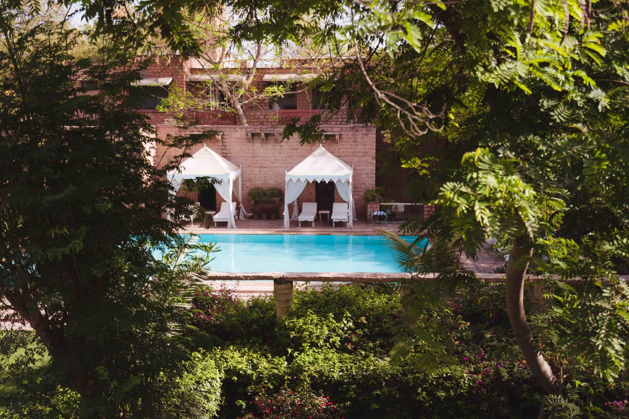 Swimming pool [outdoor]
