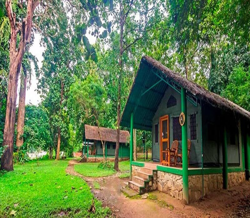 Kali Adventure Camp- Jungle Lodges