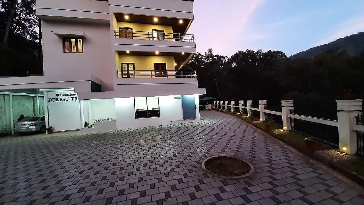 Excellency Forest Trail