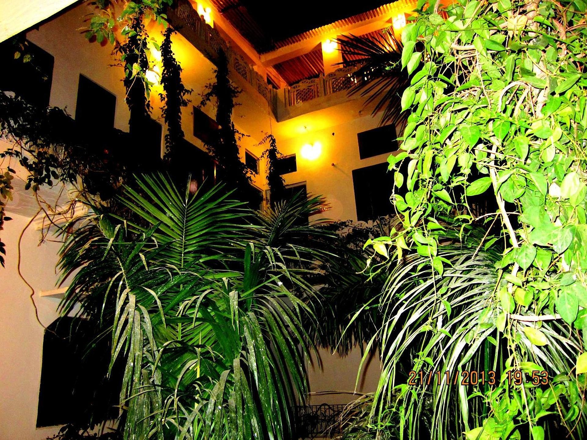 garden
