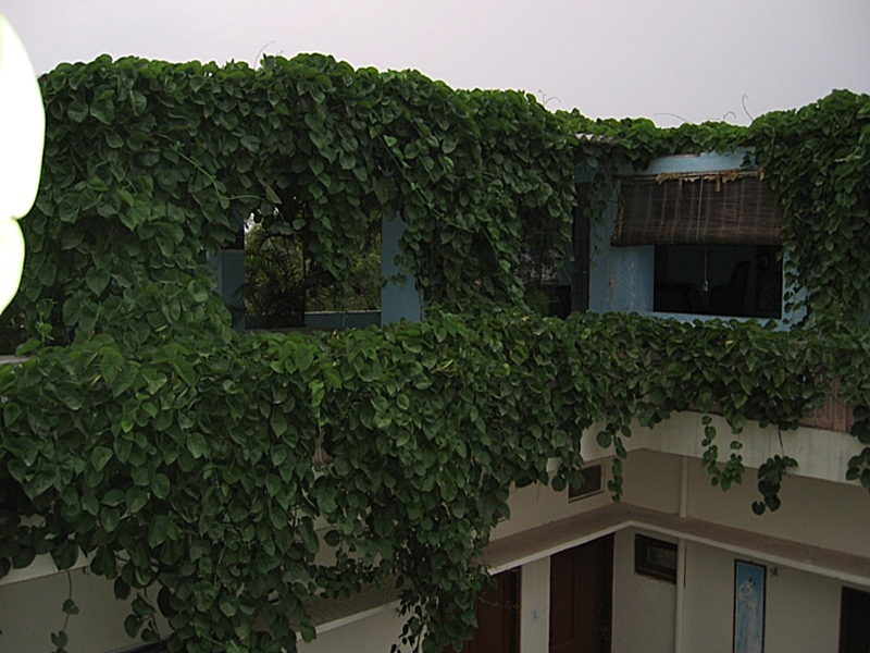 Exterior view