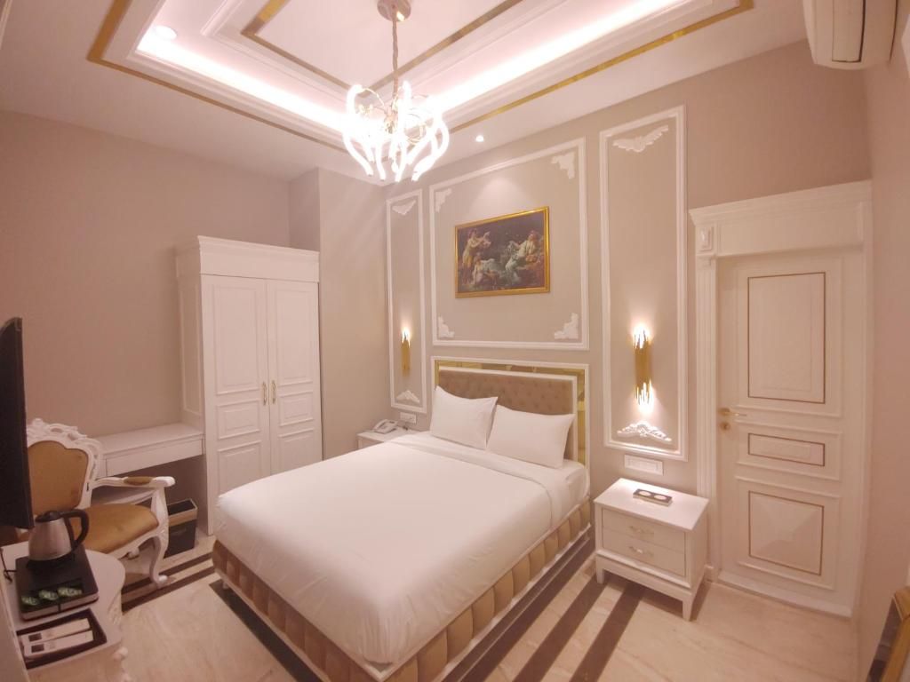 Anant Palace Deluxe Room 2