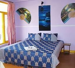 Hotel Akash Standard Double Room