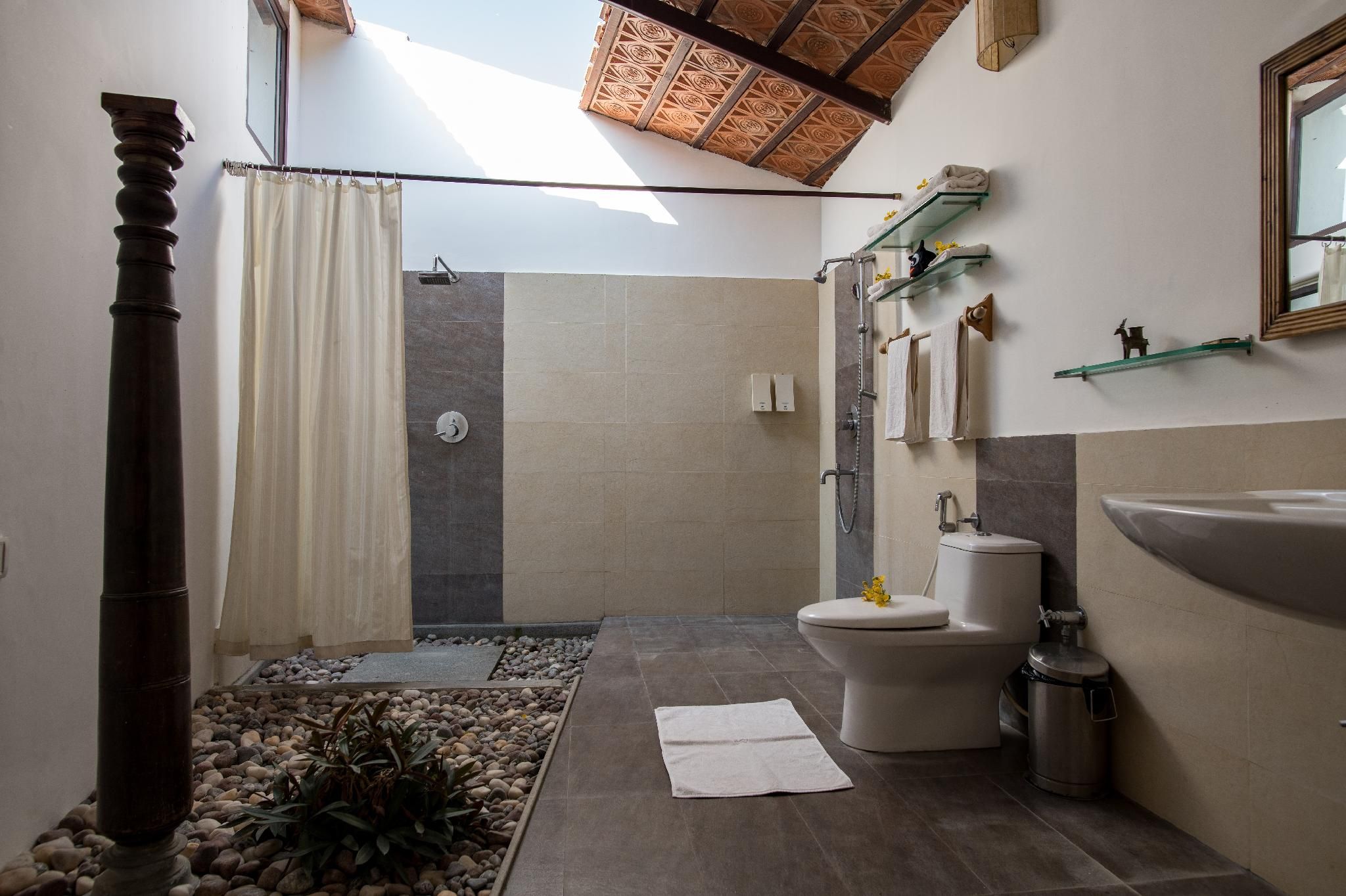 Dhole's Den Habitat Room 2