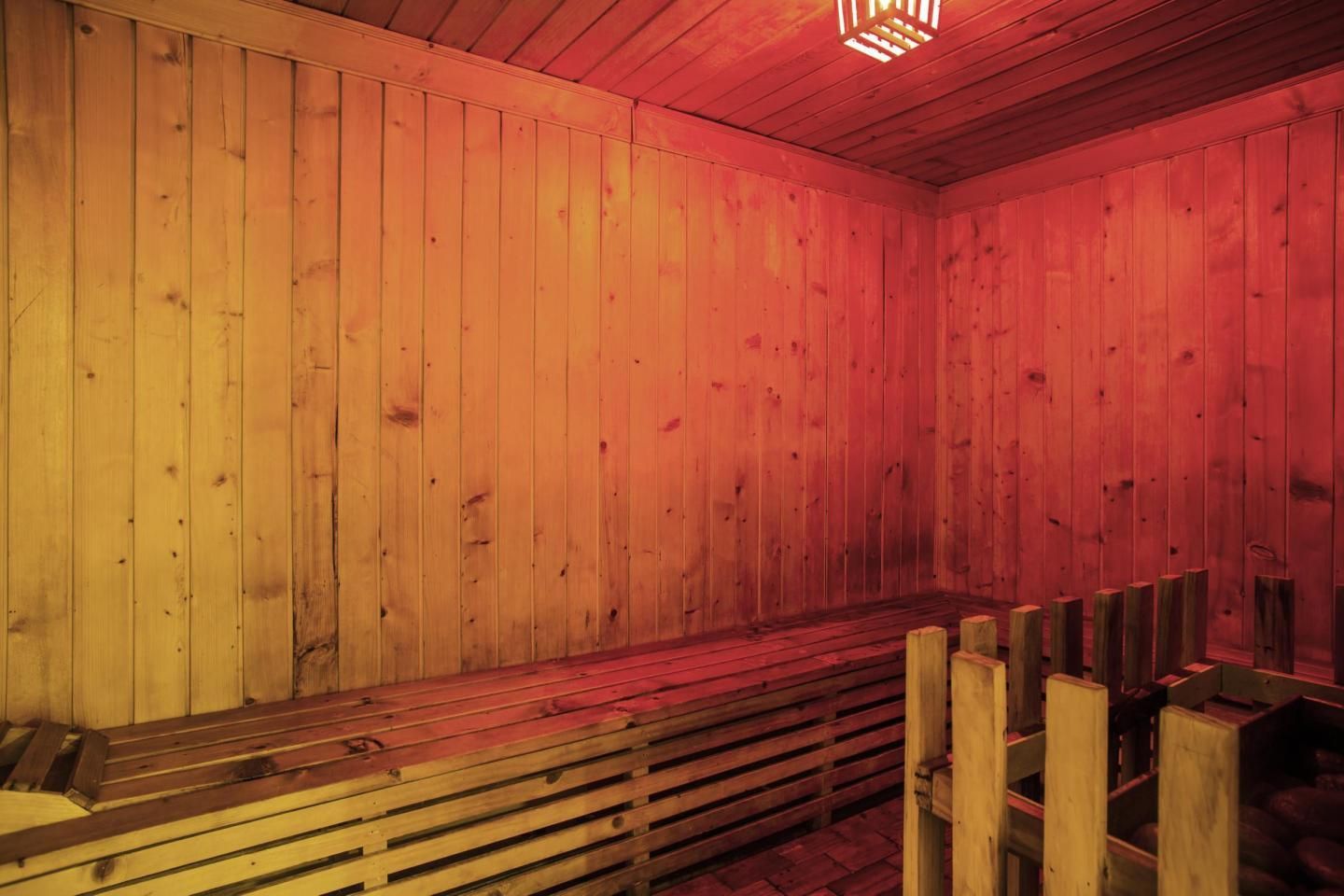 image_4282089_2cf0c248-7ed4-44ca-9a4b-6b283e064c8c