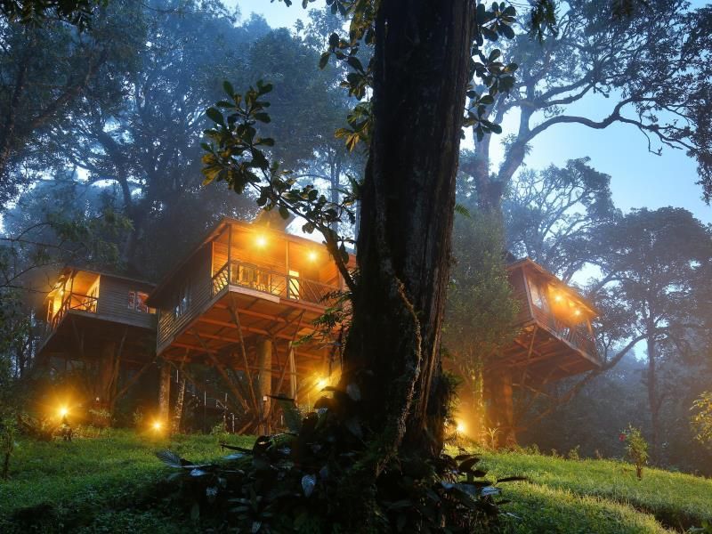 Nature Zone Jungle Resort Valley View Premium Tent