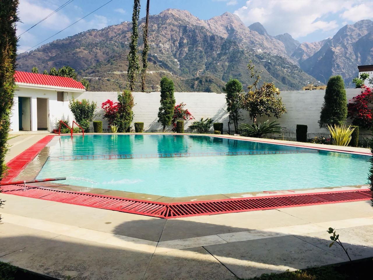swimming pool [outdoor]