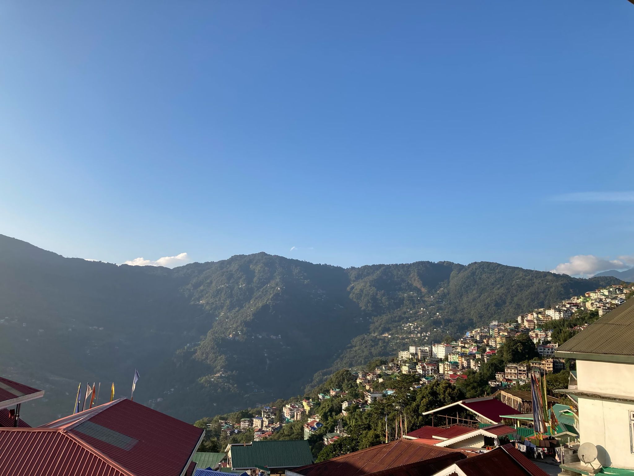 HIMAVAT'S OLIVE BRANCH