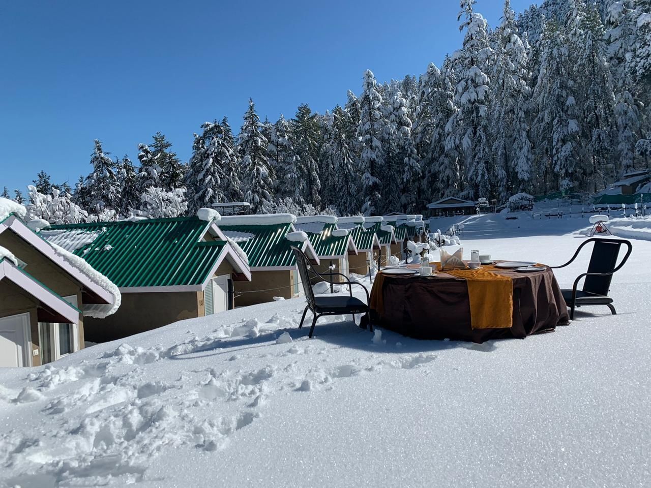 Mashobra Greens Shimla