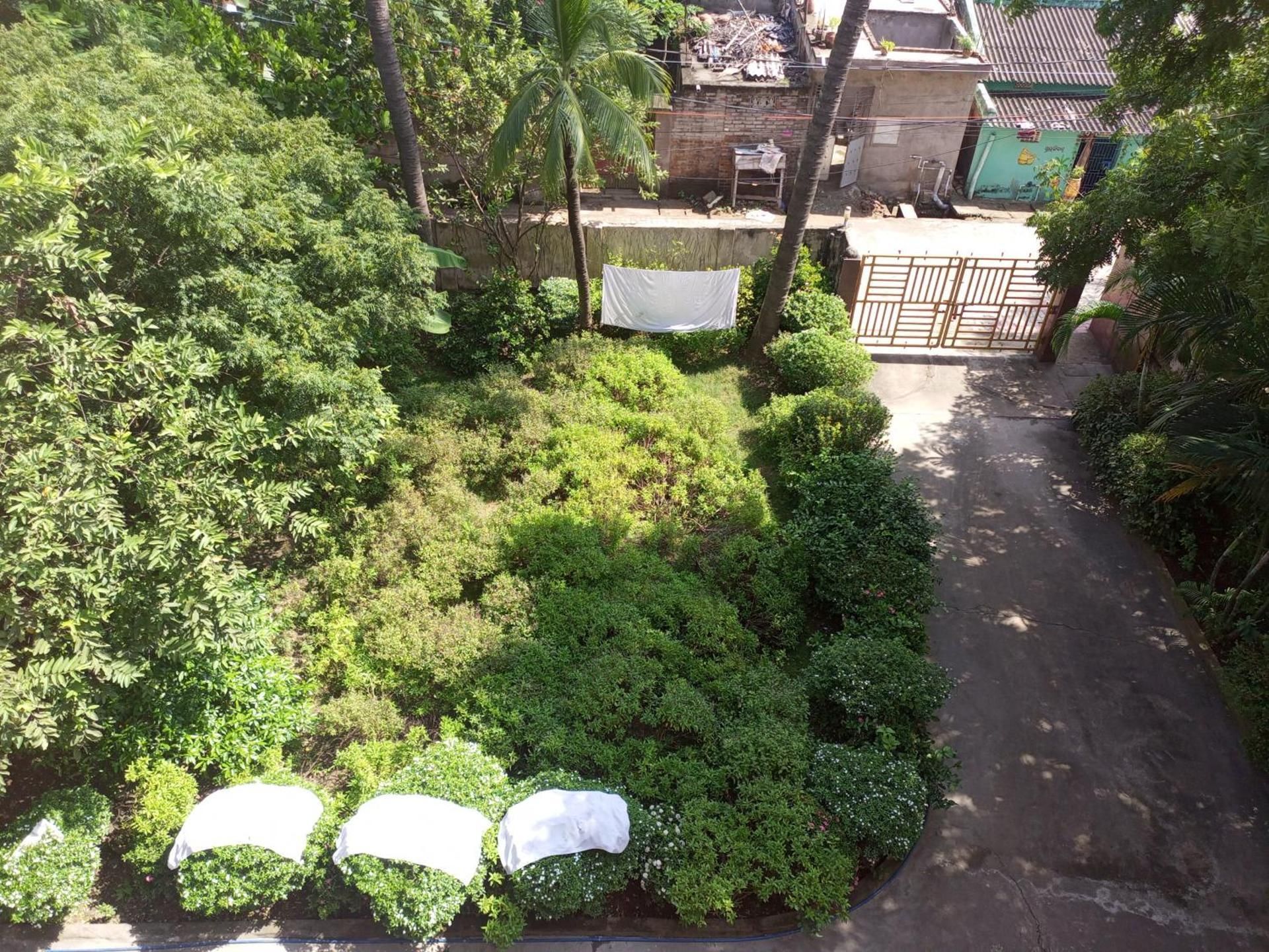 garden