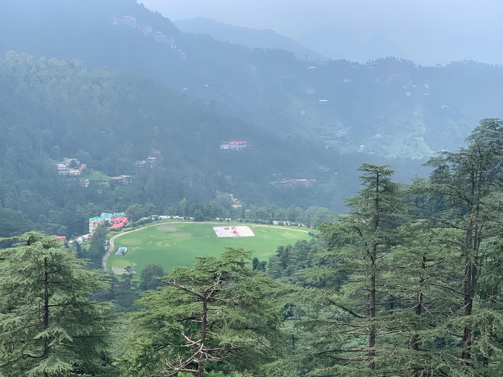 view