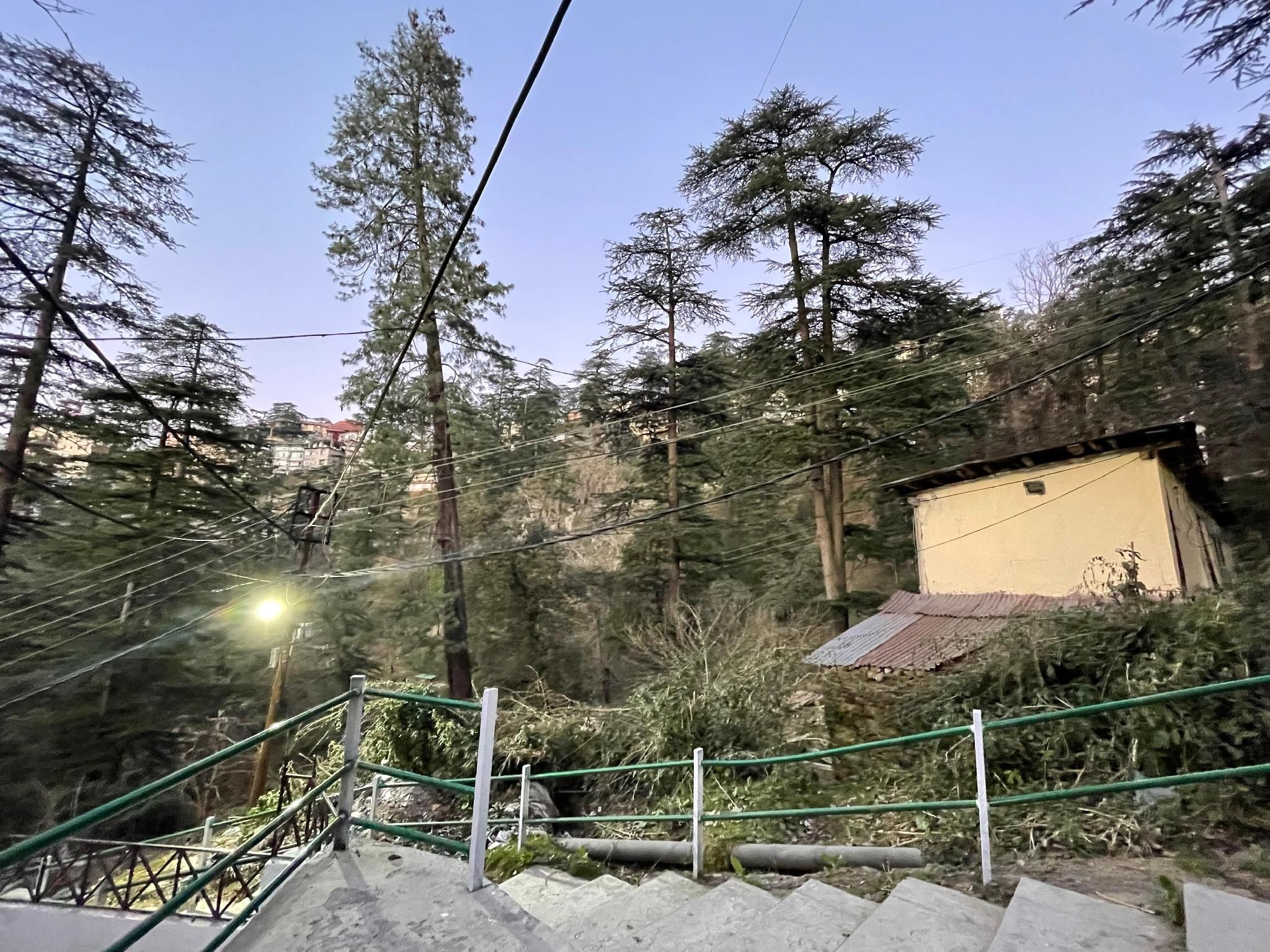 view
