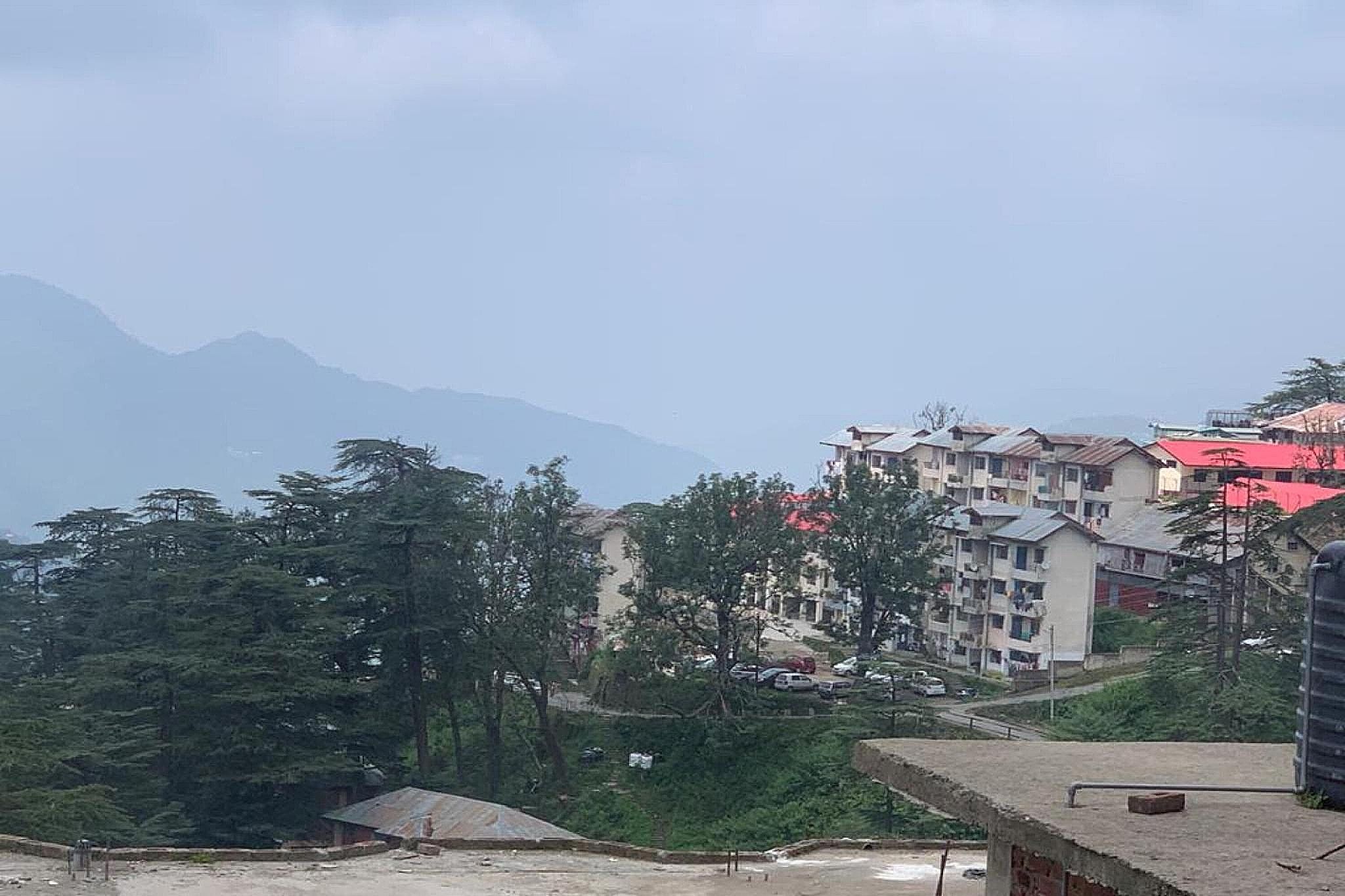 view