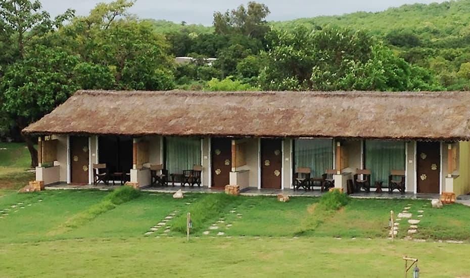 Asiatic Lion Lodge