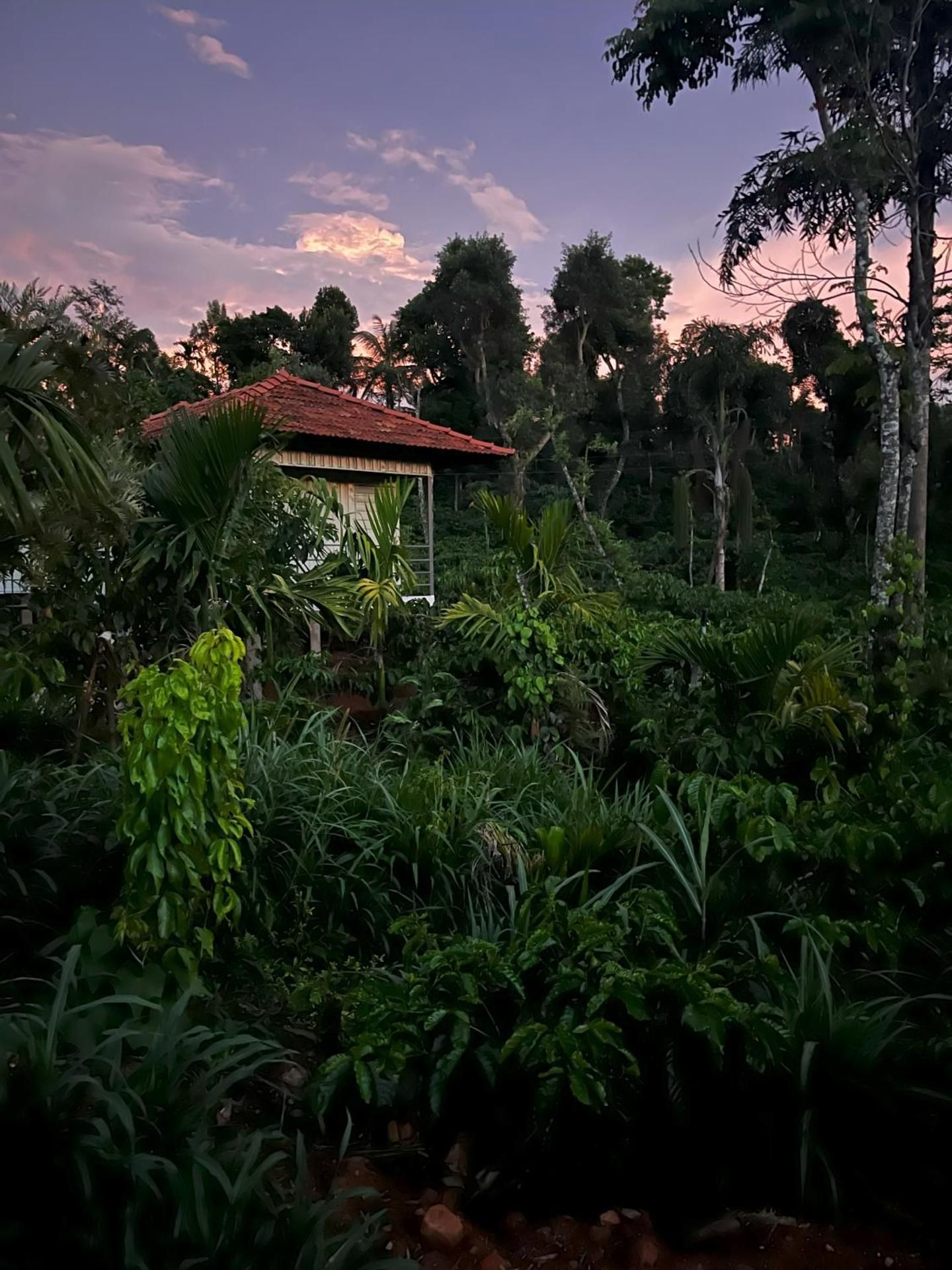 surrounding environment