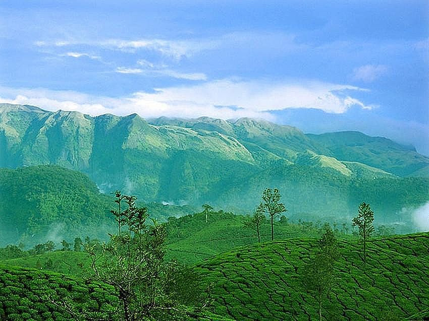 Manis Home Stay Valparai