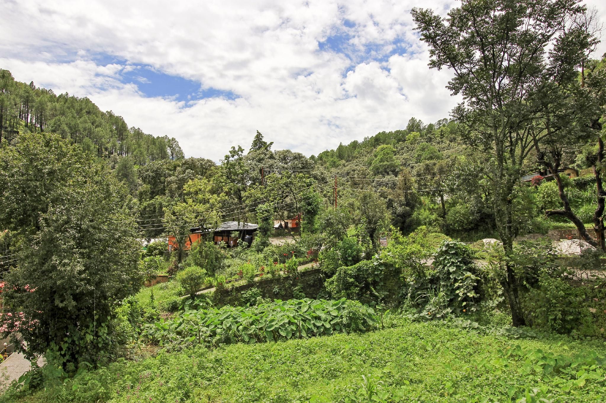 OYO Home 78469 Delightful Stay Bhimtal