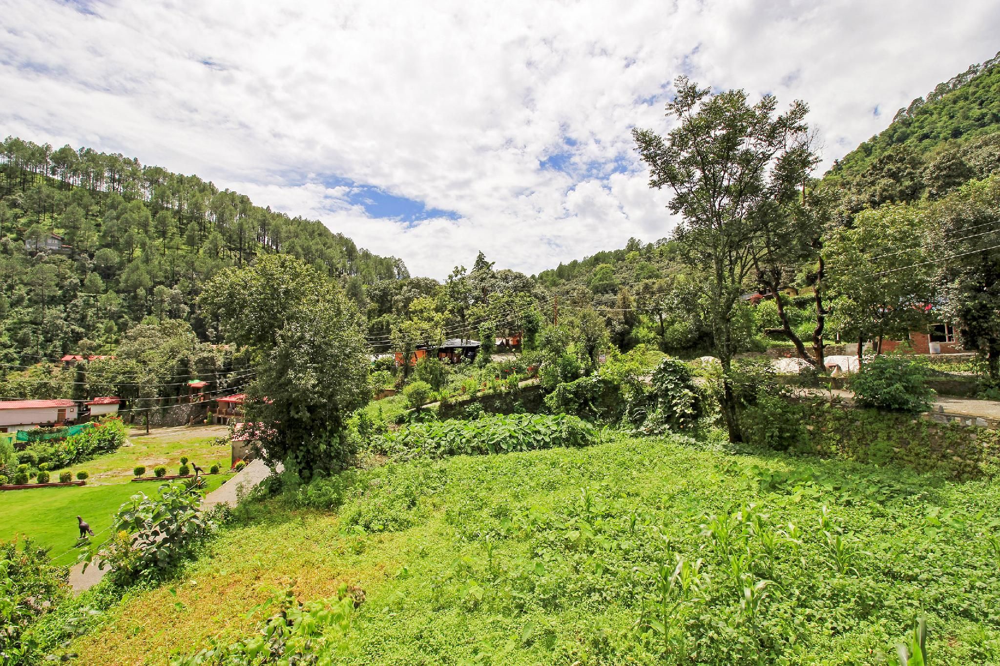 OYO Home 78469 Delightful Stay Bhimtal