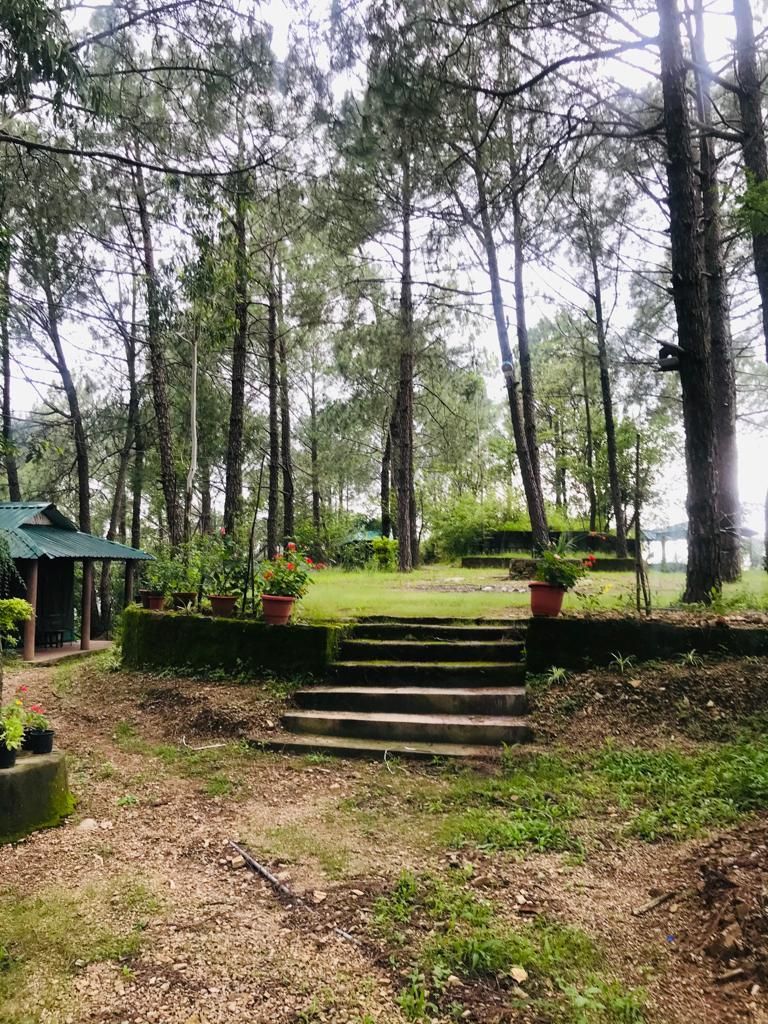 garden