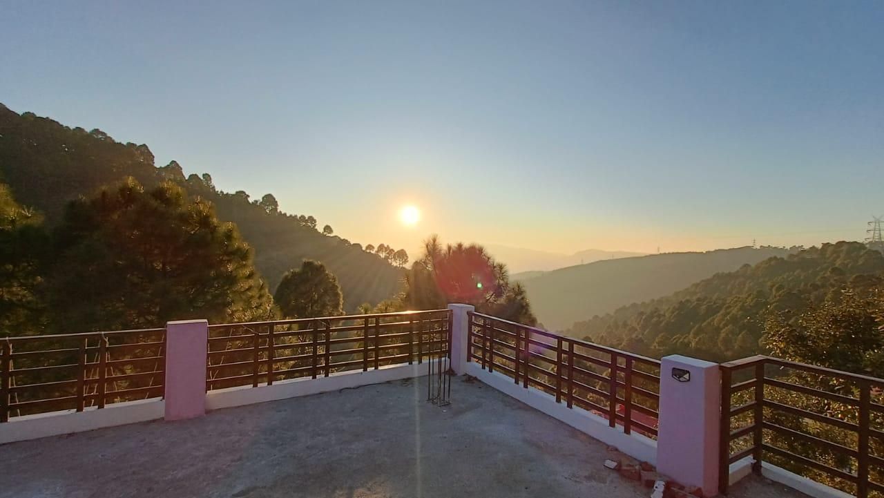 view