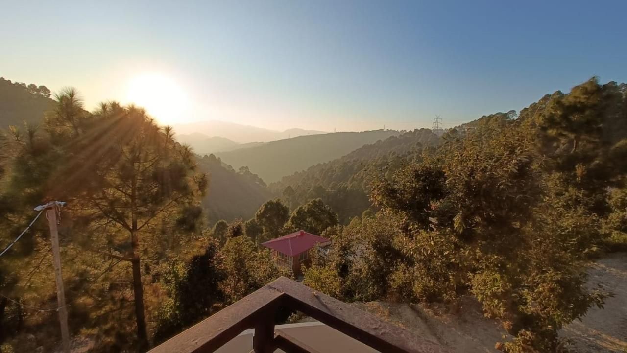 view